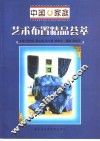 中国家庭艺术布置精品荟萃