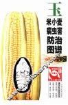 玉米小麦病虫害防治图谱