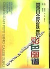 常见皮肤病彩色图谱