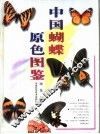中国蝴蝶原色图鉴