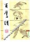 百鹰谱