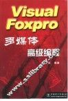 Visual Foxpro多媒体高级编程