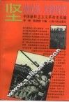 中国新民主主义革命史长编  1938-1941  坚持抗战  苦撑待变