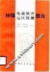 核爆电磁脉冲远区探测概论 封面