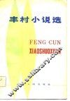 丰村小说选