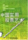 中国实用股票艺术  风险投资的指南