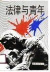 法律与青年