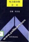 电力股份制企业