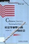 社会学视野下的中国社会