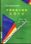 中国新会计报表实用大全