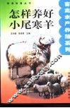 怎样养好小尾寒羊