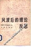 风波后的理论反思