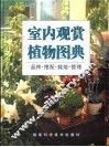 室内观赏植物图典  品种·搭配·栽培·管理