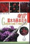 观赏灌木与藤本花卉
