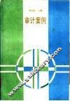 审计案例