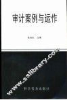 审计案例与运作