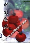 中国番茄