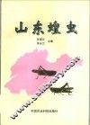 山东蝗虫