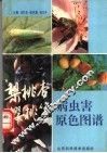 梨  桃  杏  樱桃等病虫害原色图谱