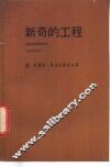 新奇的工程