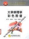 大学病理学彩色图谱