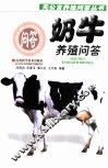 奶牛养殖问答