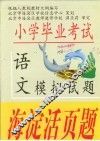 小学毕业考试模拟试题  语文