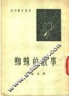 蜘蛛的故事