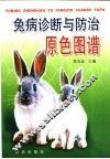 兔病诊断与防治原色图谱