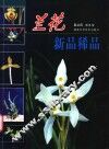 兰花新品稀品  图集