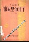 激流里的日子 电子书封面