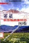 西藏农作物病害防治图鉴