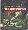 水生植物造景艺术