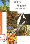 再生稻培植技术