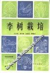 李树栽培