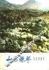 山区养羊