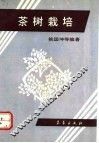 茶树栽培