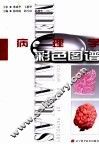 病理学彩色图谱  中英文本