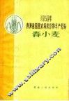 春小麦