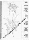 兰花白描画谱