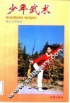 少年武术