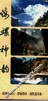 海螺神韵