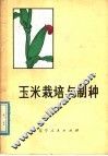 玉米栽培与制种