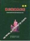 留庄英雄民兵营图集