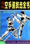 图解空手道技击全书