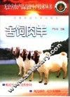 舍饲肉羊