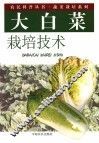 大白菜栽培技术