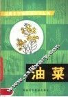 油菜