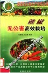 辣椒无公害高效栽培