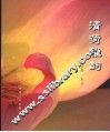 清荷雅韵